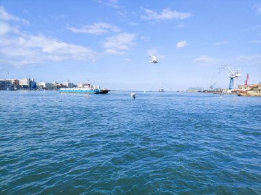 Okyanus ve mavi gökyüzü arka plan ile deniz yanında Balık tutma ve uçan martılar