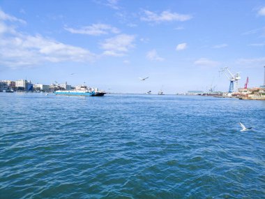 Okyanus ve mavi gökyüzü arka plan ile deniz yanında Balık tutma ve uçan martılar