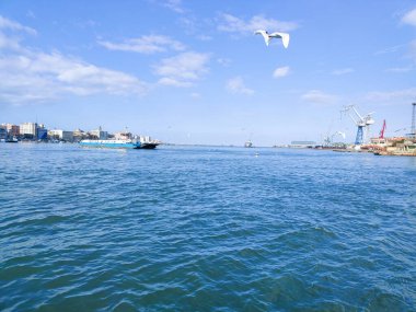 Okyanus ve mavi gökyüzü arka plan ile deniz yanında Balık tutma ve uçan martılar