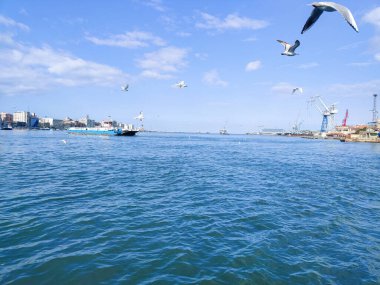 Okyanus ve mavi gökyüzü arka plan ile deniz yanında Balık tutma ve uçan martılar