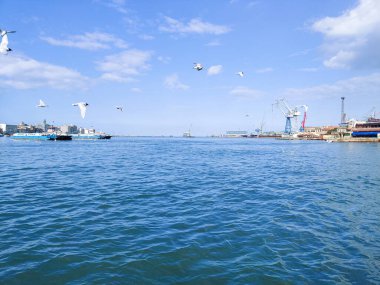 Okyanus ve mavi gökyüzü arka plan ile deniz yanında Balık tutma ve uçan martılar