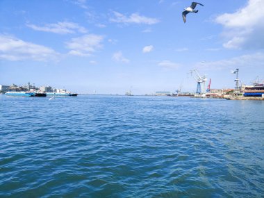 Okyanus ve mavi gökyüzü arka plan ile deniz yanında Balık tutma ve uçan martılar