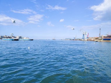 Okyanus ve mavi gökyüzü arka plan ile deniz yanında Balık tutma ve uçan martılar