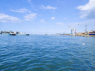 Okyanus ve mavi gökyüzü arka plan ile deniz yanında Balık tutma ve uçan martılar
