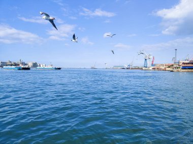 Okyanus ve mavi gökyüzü arka plan ile deniz yanında Balık tutma ve uçan martılar