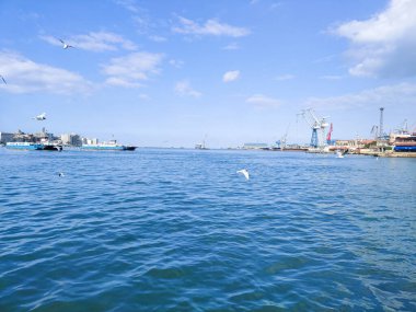 Okyanus ve mavi gökyüzü arka plan ile deniz yanında Balık tutma ve uçan martılar