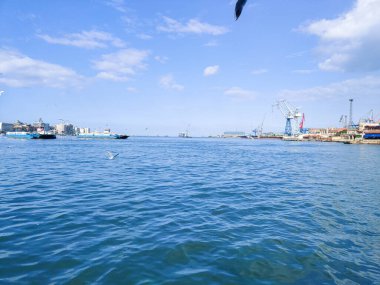 Okyanus ve mavi gökyüzü arka plan ile deniz yanında Balık tutma ve uçan martılar