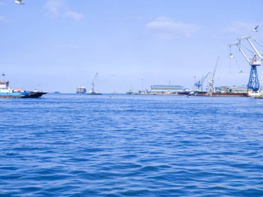 Okyanus ve mavi gökyüzü arka plan ile deniz yanında Balık tutma ve uçan martılar