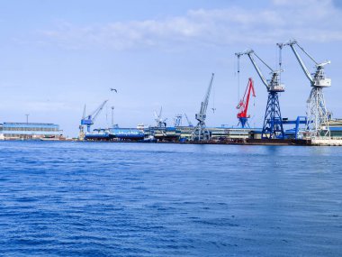 Okyanus ve mavi gökyüzü arka plan ile deniz yanında Balık tutma ve uçan martılar