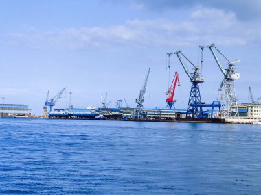 Okyanus ve mavi gökyüzü arka plan ile deniz yanında Balık tutma ve uçan martılar