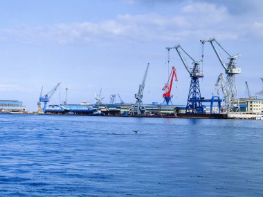 Okyanus ve mavi gökyüzü arka plan ile deniz yanında Balık tutma ve uçan martılar