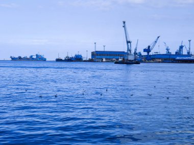 Okyanus ve mavi gökyüzü arka plan ile deniz yanında Balık tutma ve uçan martılar