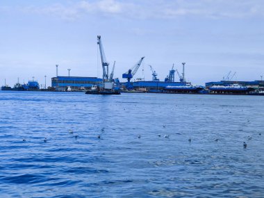Okyanus ve mavi gökyüzü arka plan ile deniz yanında Balık tutma ve uçan martılar