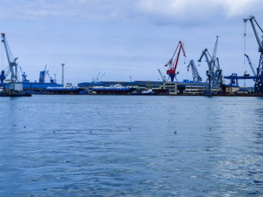 Okyanus ve mavi gökyüzü arka plan ile deniz yanında Balık tutma ve uçan martılar