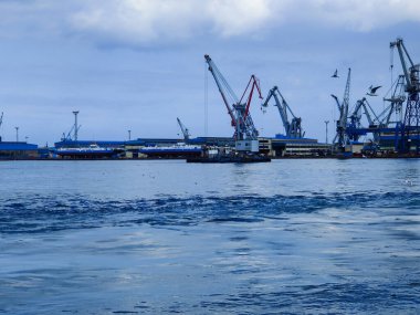 Okyanus ve mavi gökyüzü arka plan ile deniz yanında Balık tutma ve uçan martılar