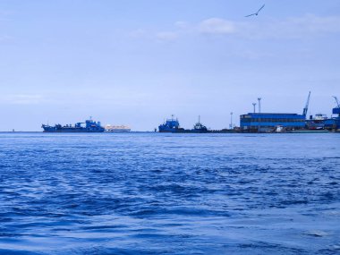 Okyanus ve mavi gökyüzü arka plan ile deniz yanında Balık tutma ve uçan martılar
