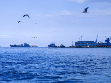 Okyanus ve mavi gökyüzü arka plan ile deniz yanında Balık tutma ve uçan martılar