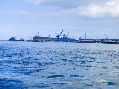 Okyanus ve mavi gökyüzü arka plan ile deniz yanında Balık tutma ve uçan martılar
