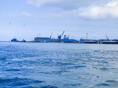 Okyanus ve mavi gökyüzü arka plan ile deniz yanında Balık tutma ve uçan martılar