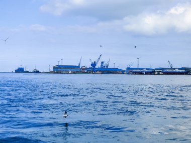 Okyanus ve mavi gökyüzü arka plan ile deniz yanında Balık tutma ve uçan martılar