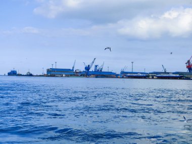 Okyanus ve mavi gökyüzü arka plan ile deniz yanında Balık tutma ve uçan martılar