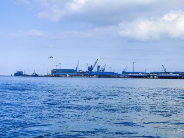 Okyanus ve mavi gökyüzü arka plan ile deniz yanında Balık tutma ve uçan martılar