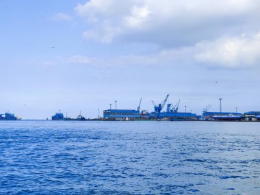 Okyanus ve mavi gökyüzü arka plan ile deniz yanında Balık tutma ve uçan martılar