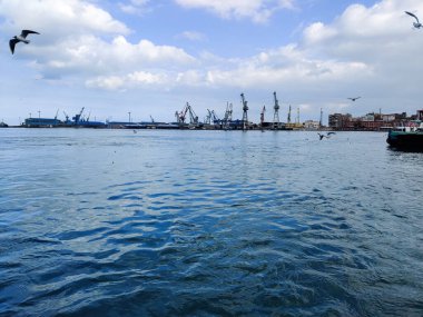 Okyanus ve mavi gökyüzü arka plan ile deniz yanında Balık tutma ve uçan martılar