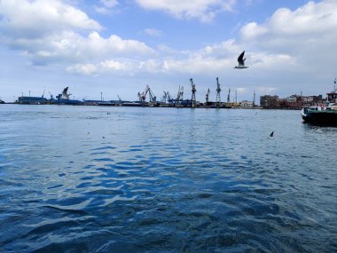 Okyanus ve mavi gökyüzü arka plan ile deniz yanında Balık tutma ve uçan martılar