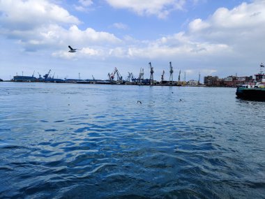 Okyanus ve mavi gökyüzü arka plan ile deniz yanında Balık tutma ve uçan martılar