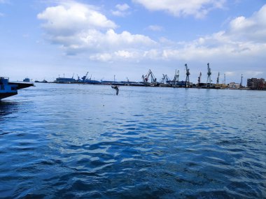 Okyanus ve mavi gökyüzü arka plan ile deniz yanında Balık tutma ve uçan martılar