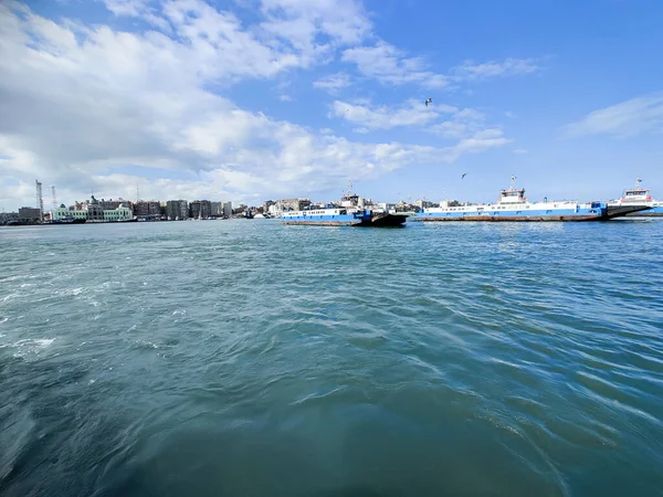 Meeuwen Vliegen Vissen Aan Zee Met Achtergrond Van Oceaan Blauwe — Stockfoto