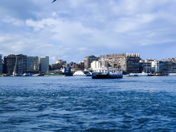 Gabbiani Che Volano Pescano Riva Mare Con Sfondo Dell Oceano — Foto Stock