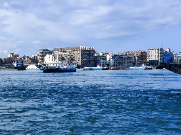 Gabbiani Che Volano Pescano Riva Mare Con Sfondo Dell Oceano — Foto Stock