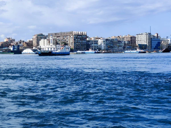 Gabbiani Che Volano Pescano Riva Mare Con Sfondo Dell Oceano — Foto Stock