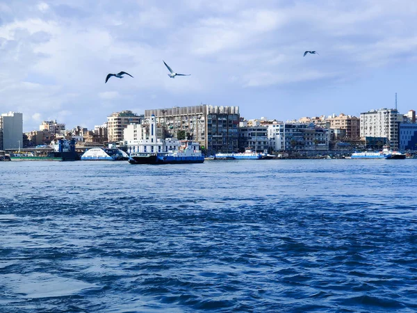 Mouettes Volant Pêche Bord Mer Avec Fond Océan Ciel Bleu — Photo