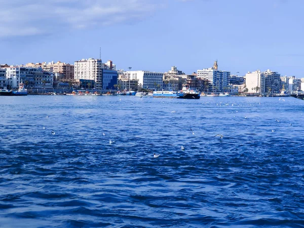 Mouettes Volant Pêche Bord Mer Avec Fond Océan Ciel Bleu — Photo