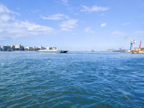 Meeuwen Vliegen Vissen Aan Zee Met Achtergrond Van Oceaan Blauwe — Stockfoto