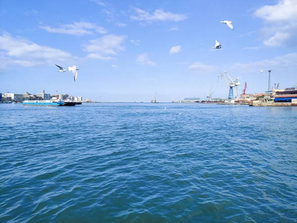 Seagulls Latania Wędkowania Nad Morzem Tle Oceanu Błękitne Niebo — Zdjęcie stockowe