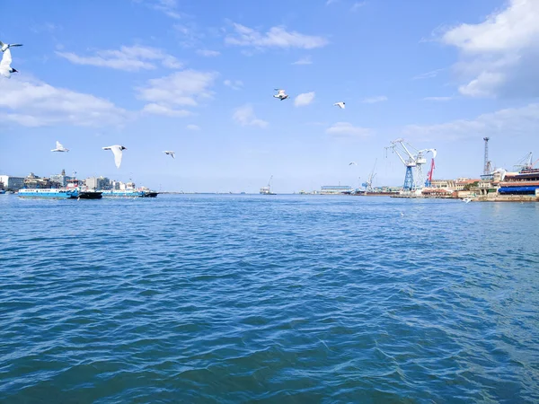 Okyanus ve mavi gökyüzü arka plan ile deniz yanında Balık tutma ve uçan martılar