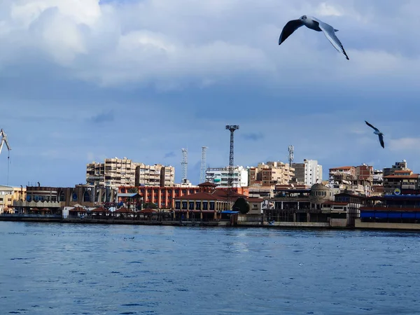 Gabbiani Che Volano Pescano Riva Mare Con Sfondo Dell Oceano — Foto Stock