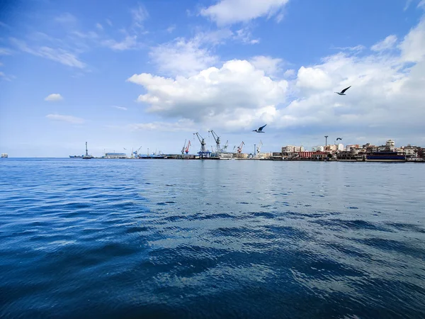 Meeuwen Vliegen Vissen Aan Zee Met Achtergrond Van Oceaan Blauwe — Stockfoto