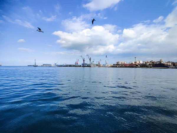Meeuwen Vliegen Vissen Aan Zee Met Achtergrond Van Oceaan Blauwe — Stockfoto