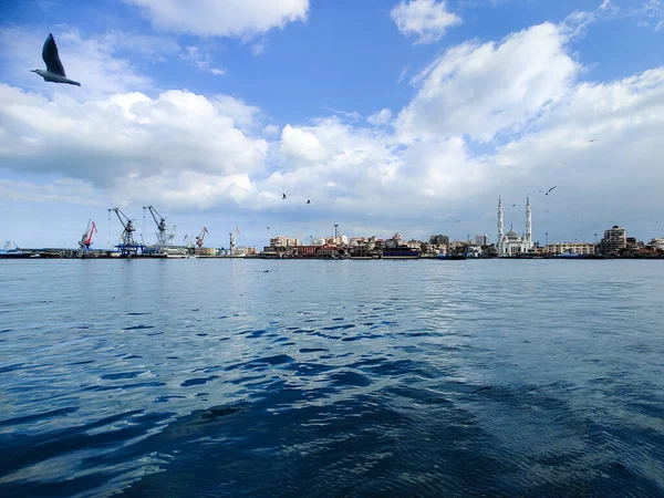 Gaivotas Voando Pescando Lado Mar Com Fundo Oceano Céu Azul — Fotografia de Stock