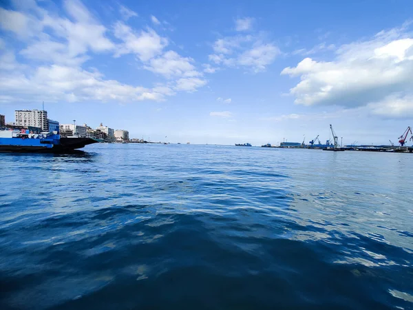 Meeuwen Vliegen Vissen Aan Zee Met Achtergrond Van Oceaan Blauwe — Stockfoto