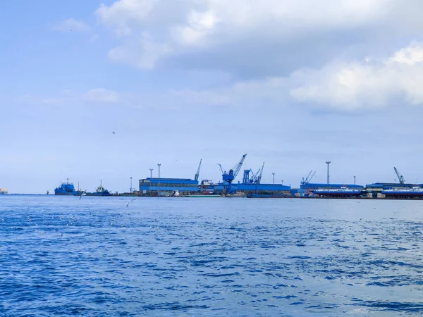 Okyanus ve mavi gökyüzü arka plan ile deniz yanında Balık tutma ve uçan martılar