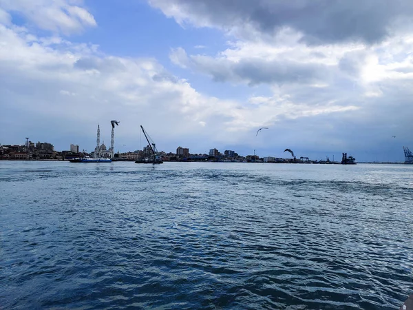 Seagulls Latania Wędkowania Nad Morzem Tle Oceanu Błękitne Niebo — Zdjęcie stockowe