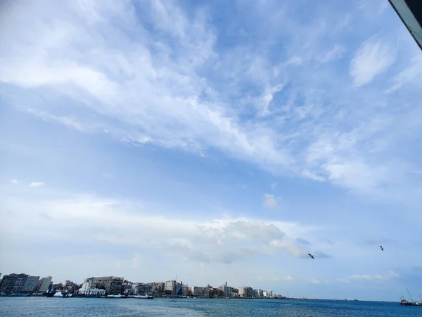 Mouettes Volant Pêche Bord Mer Avec Fond Océan Ciel Bleu — Photo