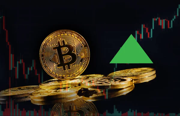 Boğa pazarında bitcoin logosu olan altın paralar yükseliyor. Lider şifreli para birimi Bitcoin BTC ticarette yükseliyor. Merkezi olmayan dijital para biriminin fiyatı artıyor. Siyah arkaplanda elektronik para