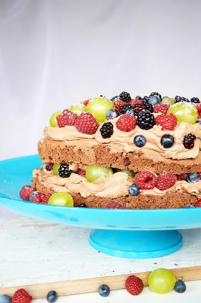 과일 초콜릿 케이크 — 스톡 사진